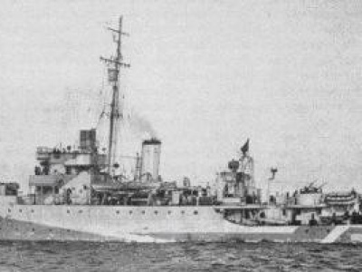 Саламандер